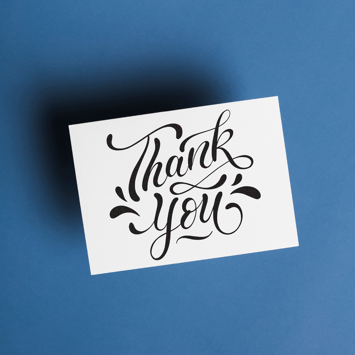 Les pack-ins : inserts de colis pour votre boutique.